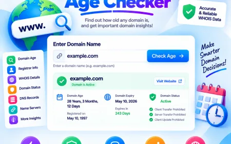 Domain Age Checker